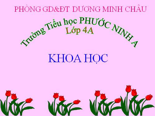 Bài 40. Bảo vệ bầu không khí trong sạch