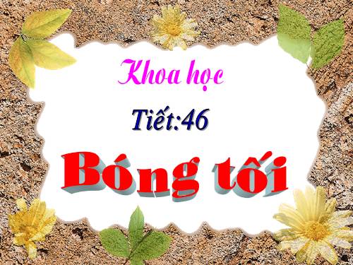 Bài 46. Bóng tối