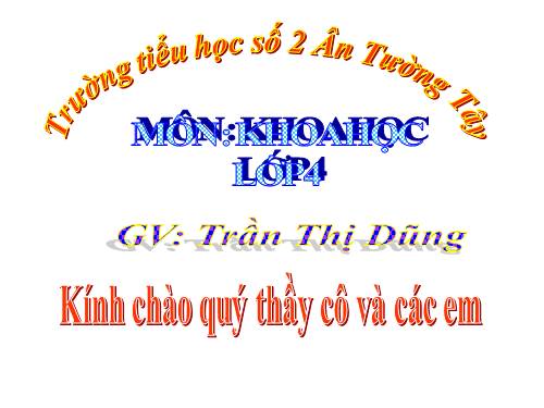 Bài 60. Nhu cầu không khí của thực vật