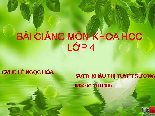 Bài 13. Phòng bệnh béo phì