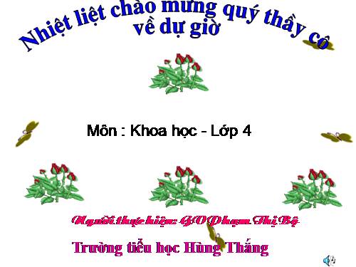 Bài 61. Trao đổi chất ở thực vật