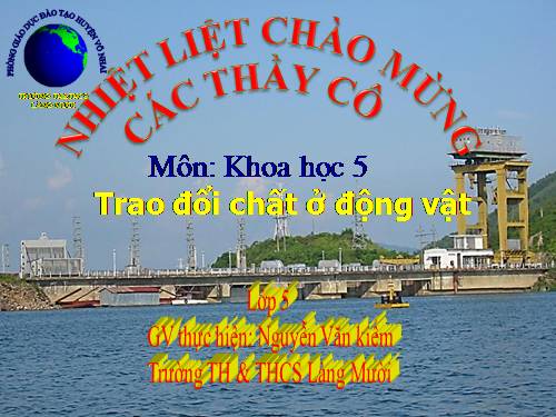 Bài 64. Trao đổi chất ở động vật