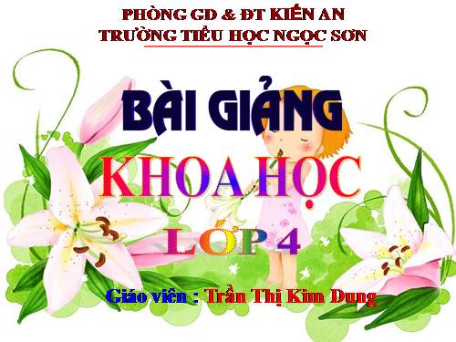 Bài 17. Phòng tránh tai nạn đuối nước