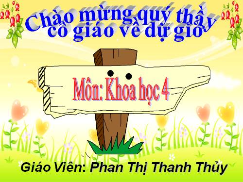 Bài 32. Không khí gồm những thành phần nào?