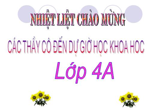 Bài 13. Phòng bệnh béo phì