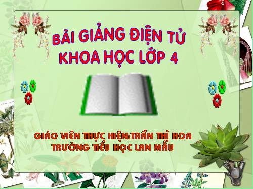 Bài 36. Không khí cần cho sự sống
