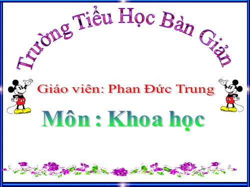 Bài 31. Không khí có những tính chất gì?