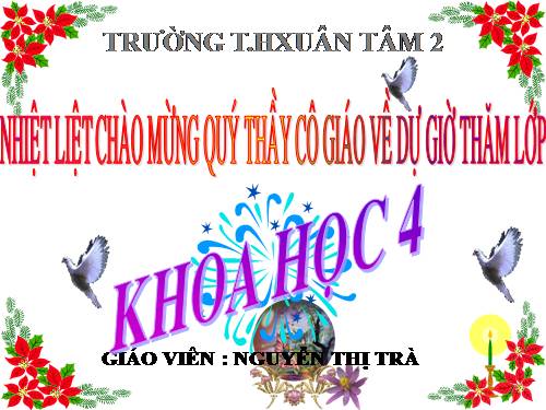 Bài 26. Nguyên nhân làm nước bị ô nhiễm