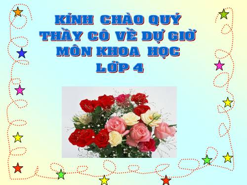 Bài 17. Phòng tránh tai nạn đuối nước