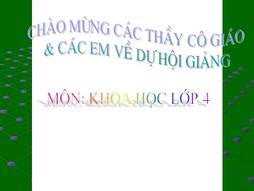 Bài 17. Phòng tránh tai nạn đuối nước