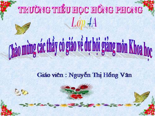 Bài 23. Sơ đồ vòng tuần hoàn của nước trong tự nhiên