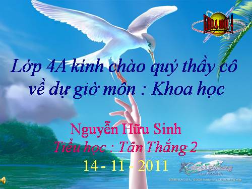 Bài 23. Sơ đồ vòng tuần hoàn của nước trong tự nhiên