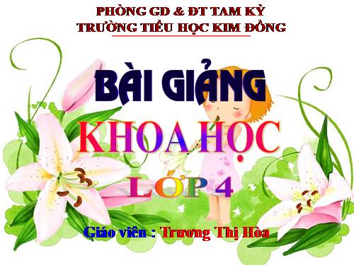 Bài 17. Phòng tránh tai nạn đuối nước