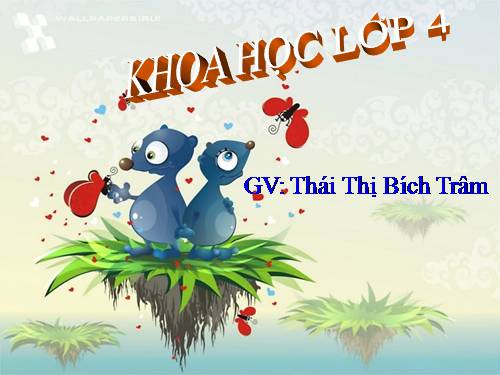 Bài 17. Phòng tránh tai nạn đuối nước