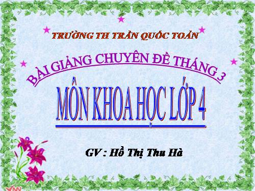 Bài 57. Thực vật cần gì để sống?