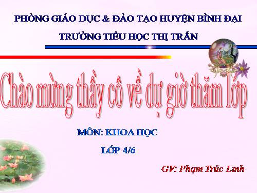 Bài 41. Âm thanh