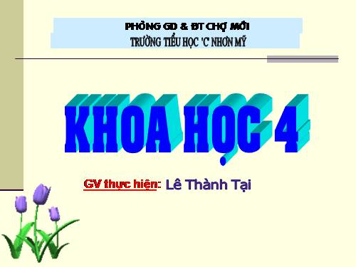 Bài 16. Ăn uống khi bị bệnh