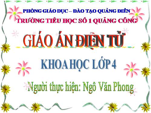 Bài 59. Nhu cầu chất khoáng của thực vật