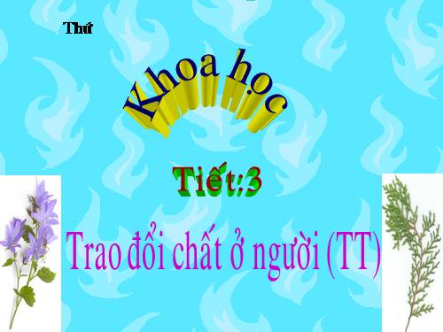 Bài 3. Trao đổi chất ở người (tiếp theo)