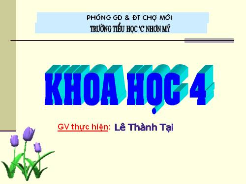 Bài 16. Ăn uống khi bị bệnh