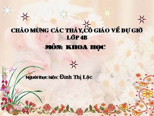 Bài 10. Ăn nhiều rau và quả chín, sử dụng thực phẩm sạch và an toàn