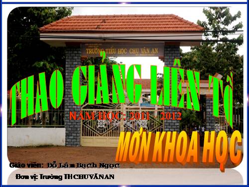 Bài 14. Phòng một số bệnh lây qua đường tiêu hoá