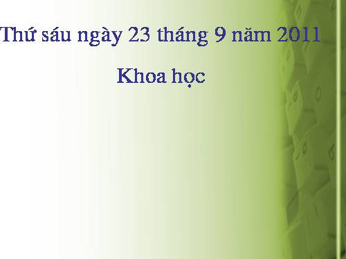 Bài 10. Ăn nhiều rau và quả chín, sử dụng thực phẩm sạch và an toàn