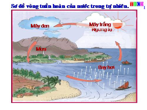 Bài 23. Sơ đồ vòng tuần hoàn của nước trong tự nhiên