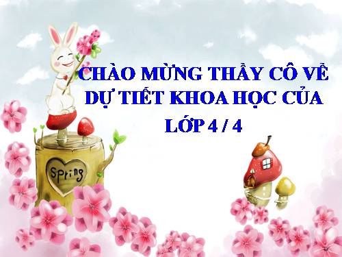 Bài 24. Nước cần cho sự sống