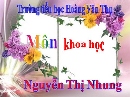 Bài 17. Phòng tránh tai nạn đuối nước