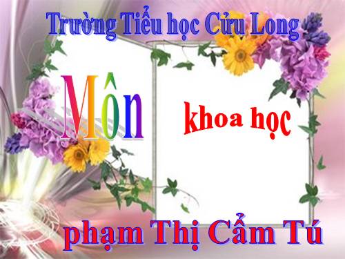 Bài 17. Phòng tránh tai nạn đuối nước