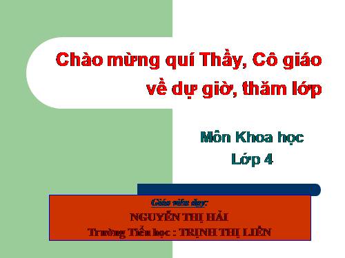 Bài 48. Ánh sáng cần cho sự sống (tiếp theo)