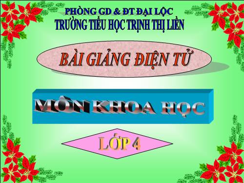 Bài 61. Trao đổi chất ở thực vật