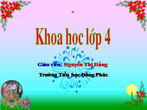 Bài 39. Không khí bị ô nhiễm