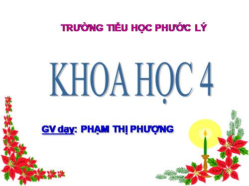 Bài 16. Ăn uống khi bị bệnh