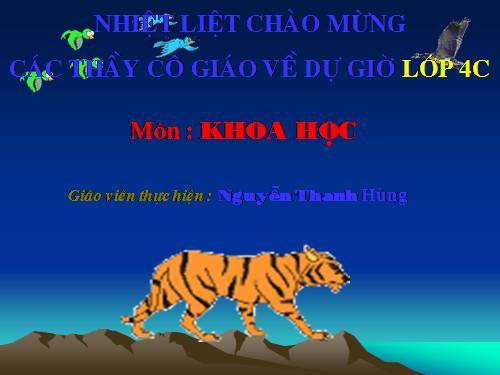 Bài 64. Trao đổi chất ở động vật