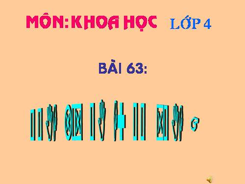 Bài 63. Động vật ăn gì để sống?