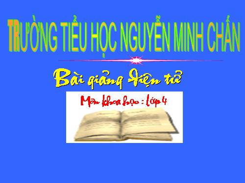 Bài 60. Nhu cầu không khí của thực vật