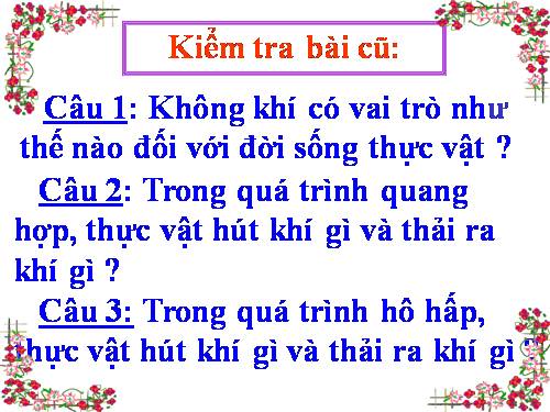 Bài 61. Trao đổi chất ở thực vật