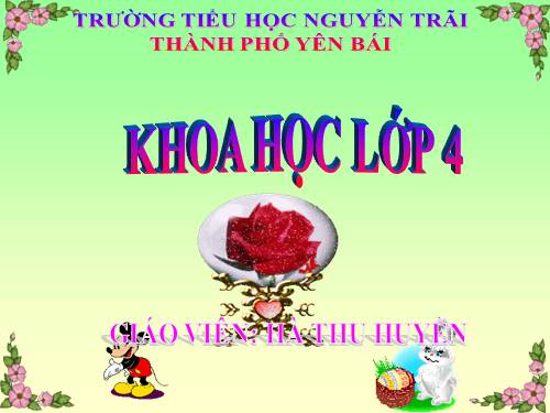 Bài 60. Nhu cầu không khí của thực vật