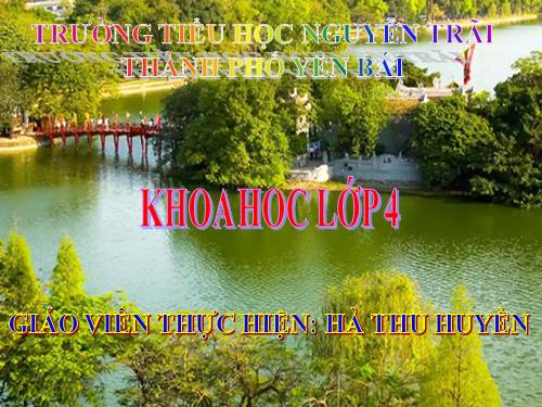 Bài 59. Nhu cầu chất khoáng của thực vật