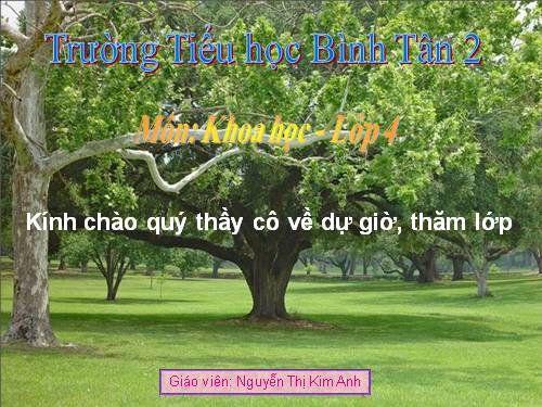 Bài 57. Thực vật cần gì để sống?