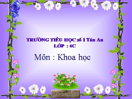 Bài 48. Ánh sáng cần cho sự sống (tiếp theo)