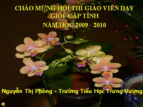 Bài 60. Nhu cầu không khí của thực vật