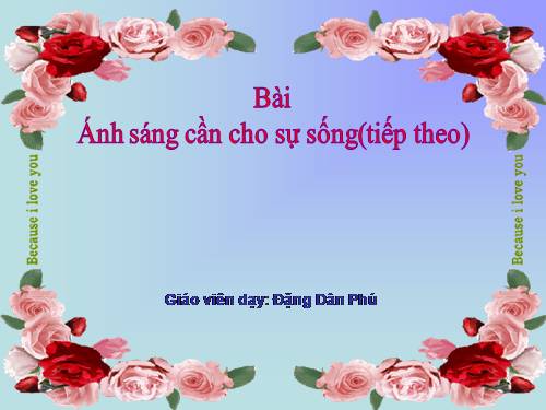 Bài 48. Ánh sáng cần cho sự sống (tiếp theo)