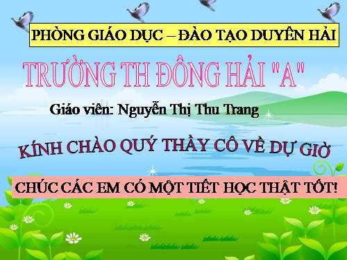 Bài 63. Động vật ăn gì để sống?