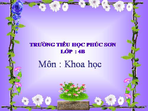 Bài 48. Ánh sáng cần cho sự sống (tiếp theo)