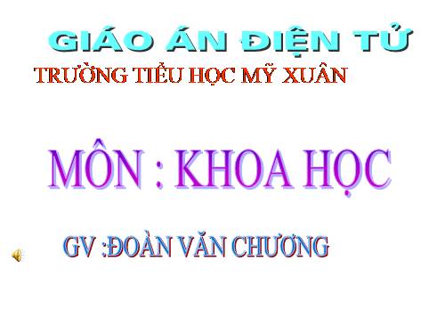 Bài 36. Không khí cần cho sự sống