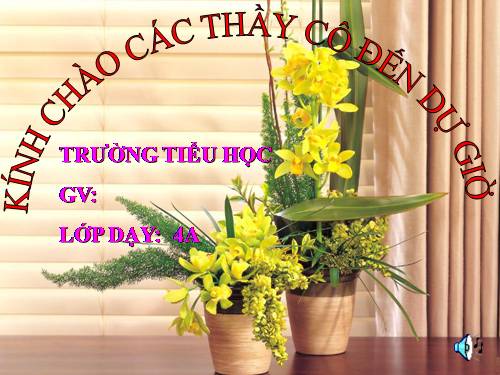 Bài 59. Nhu cầu chất khoáng của thực vật