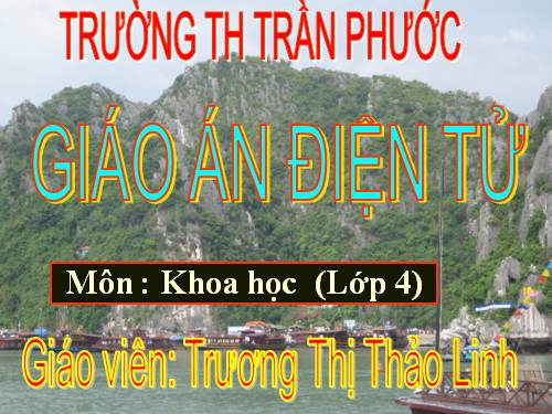 Bài 36. Không khí cần cho sự sống